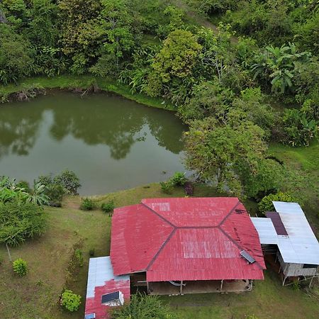 Albergue La Laguna Puerto Jiménez Eksteriør billede
