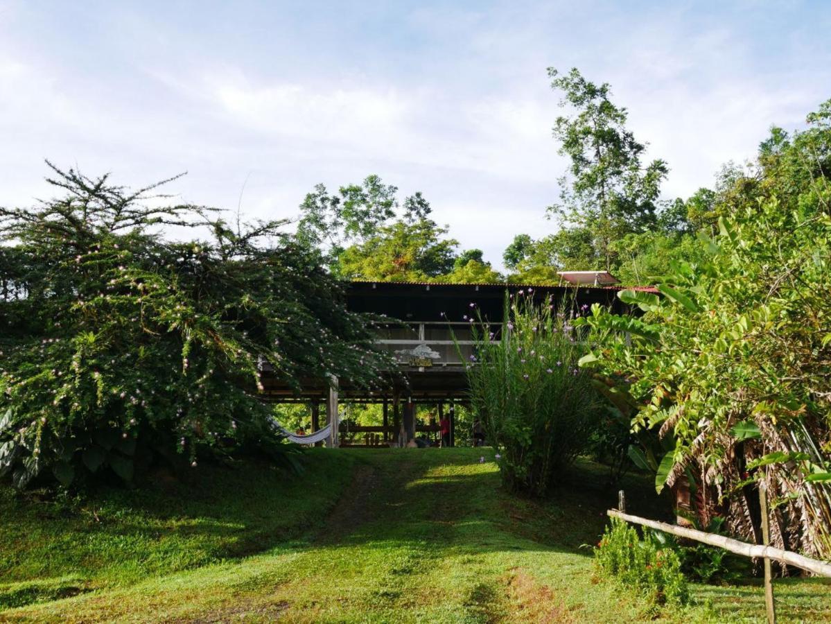 Albergue La Laguna Puerto Jiménez Eksteriør billede
