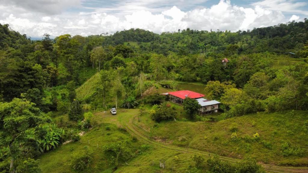 Albergue La Laguna Puerto Jiménez Eksteriør billede