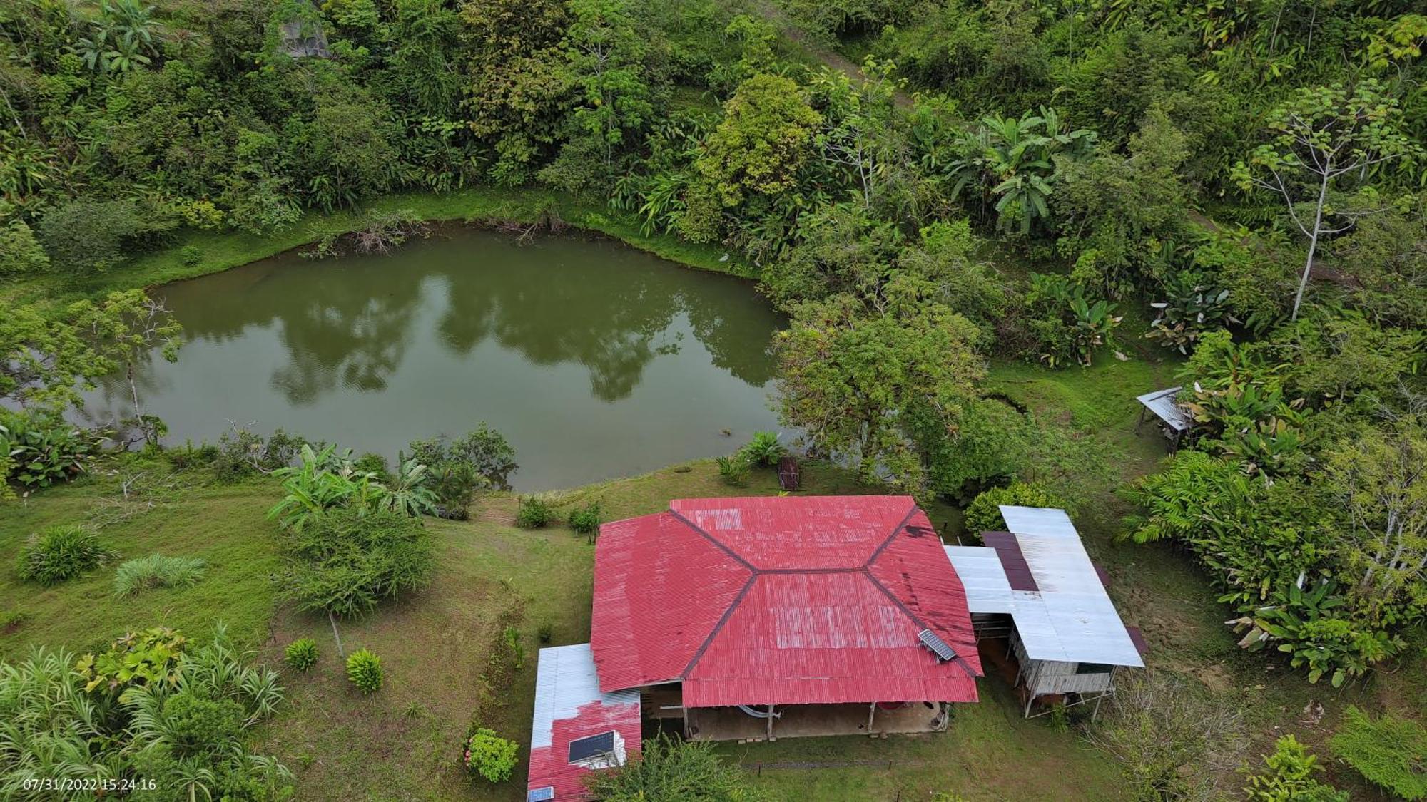 Albergue La Laguna Puerto Jiménez Eksteriør billede