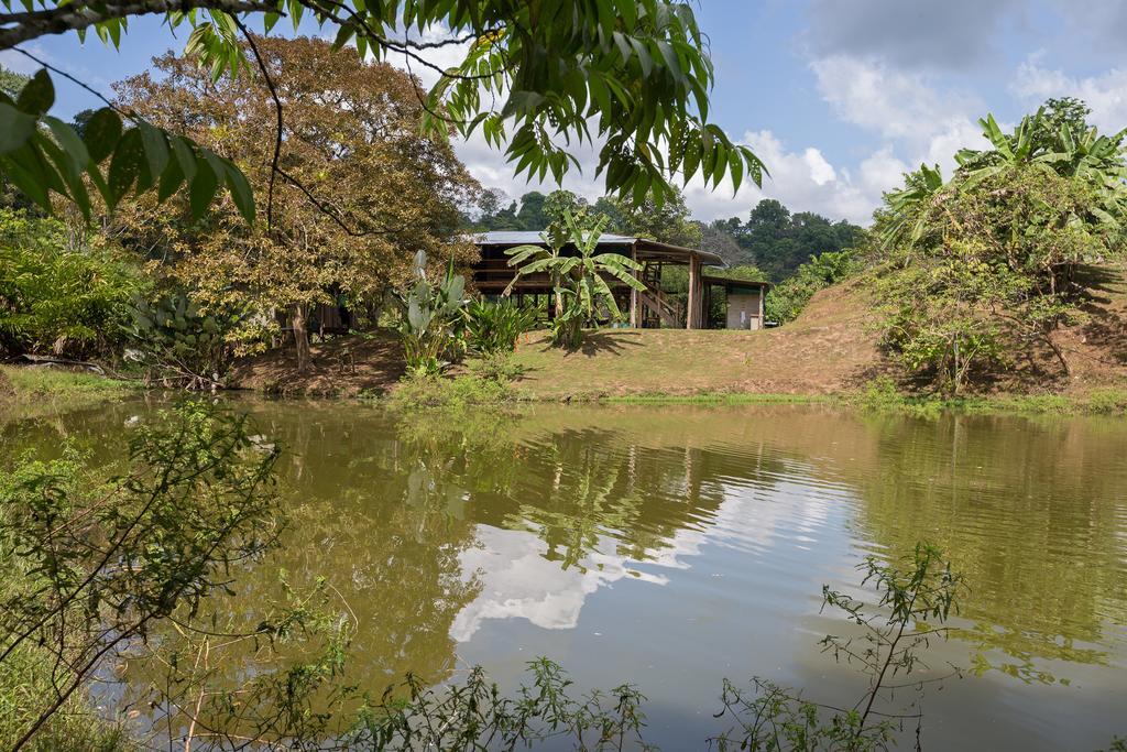 Albergue La Laguna Puerto Jiménez Eksteriør billede