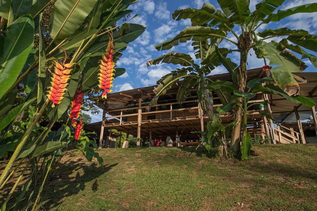 Albergue La Laguna Puerto Jiménez Eksteriør billede