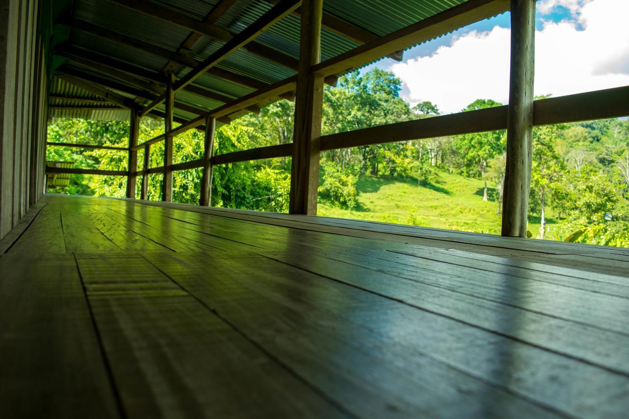 Albergue La Laguna Puerto Jiménez Eksteriør billede