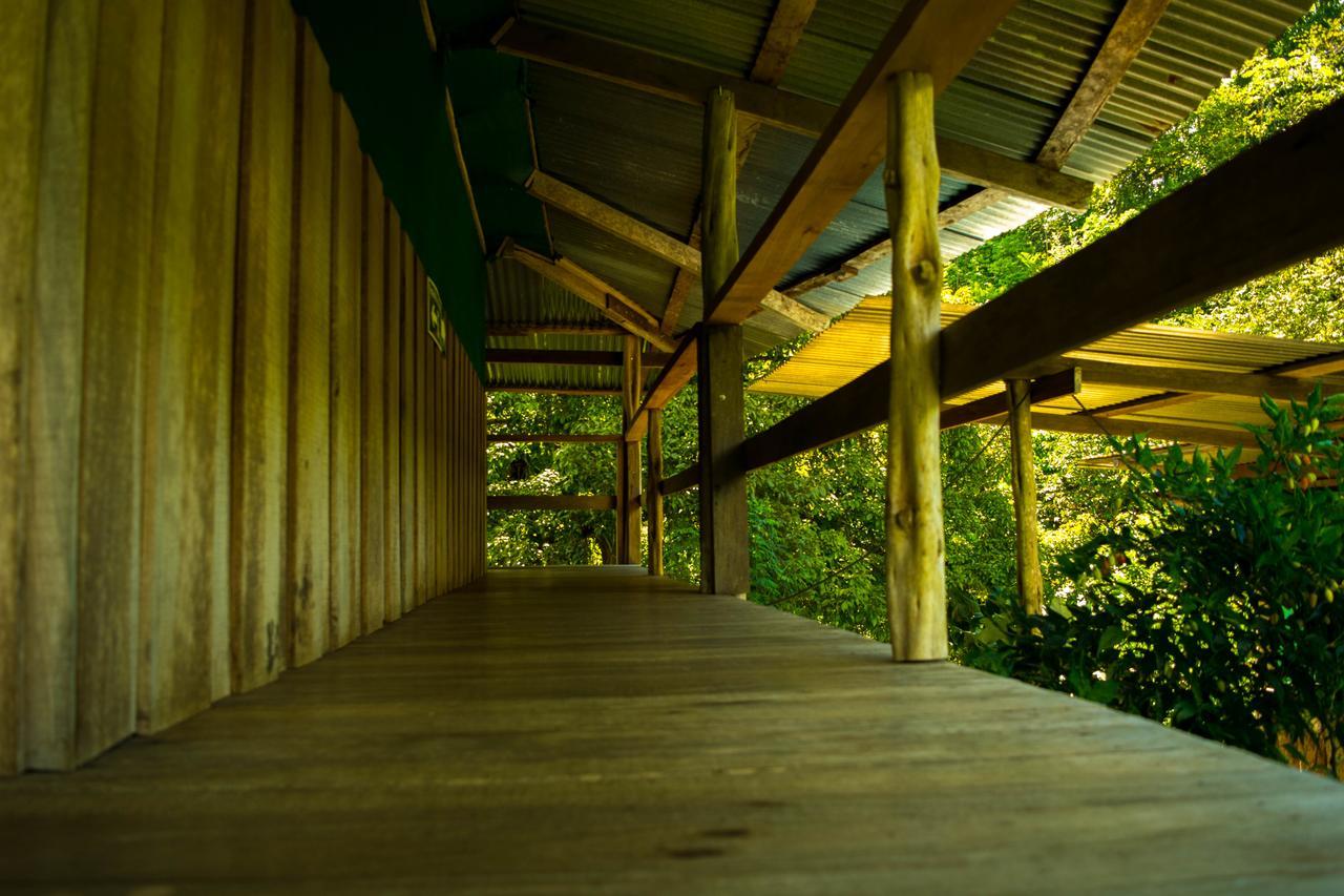 Albergue La Laguna Puerto Jiménez Eksteriør billede